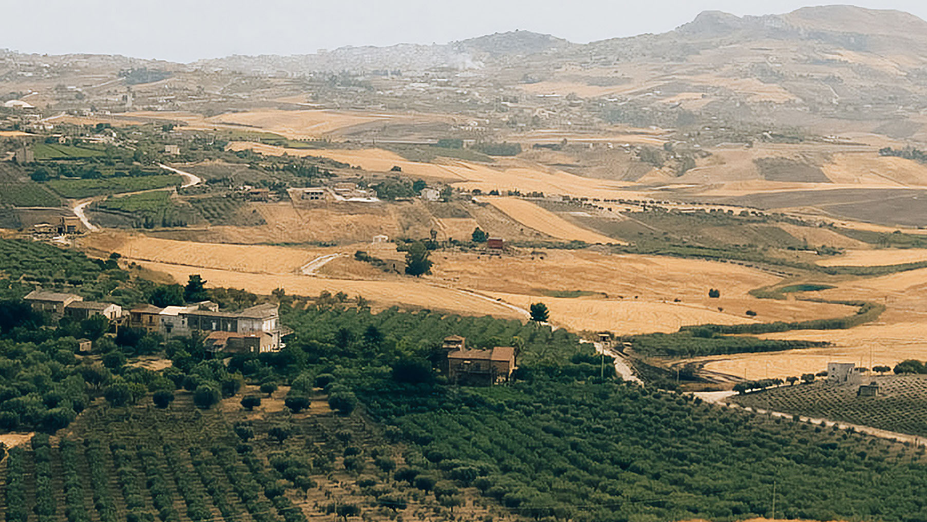 A view of the olive grove farm and property in Sicily, Italy.